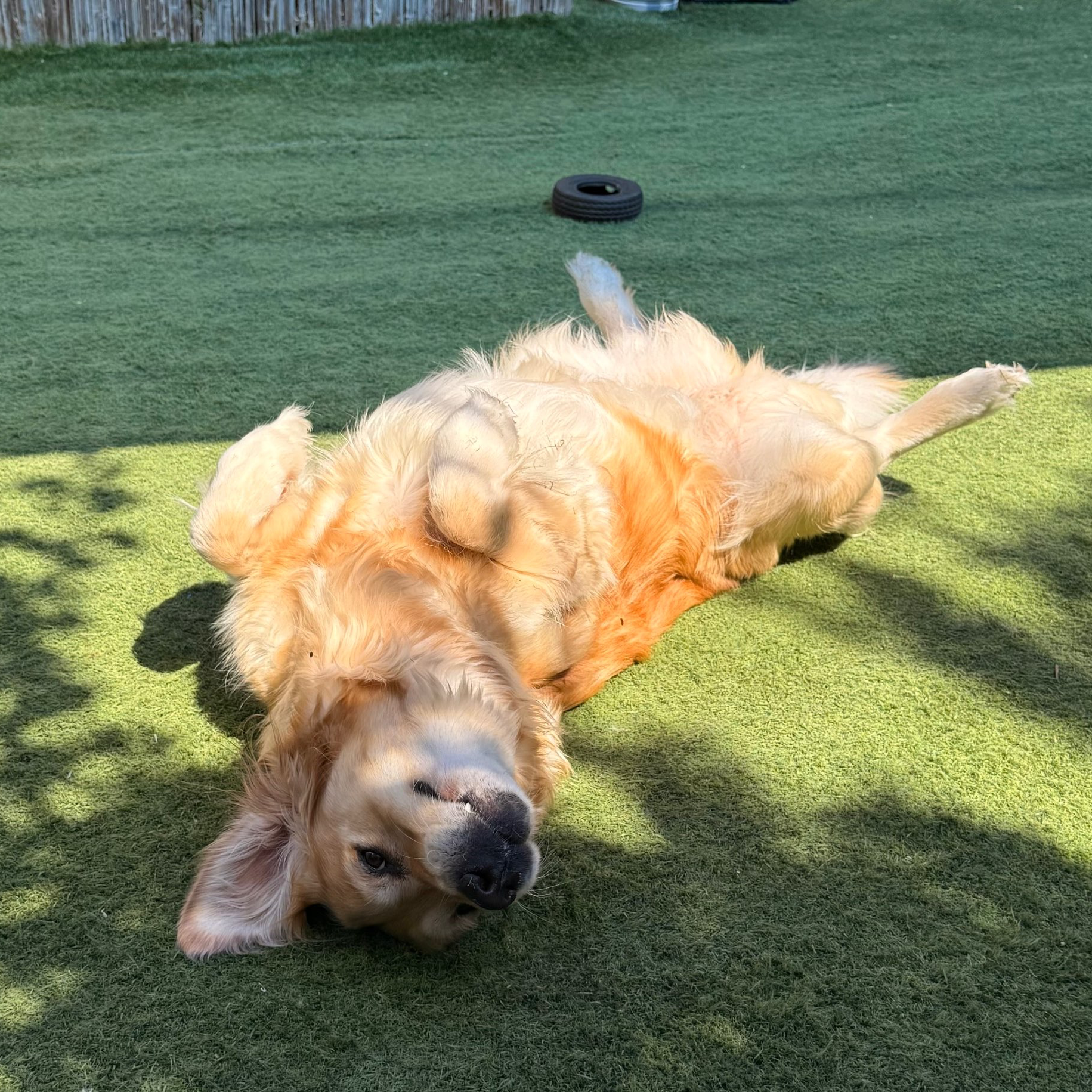 פנסיון שהות