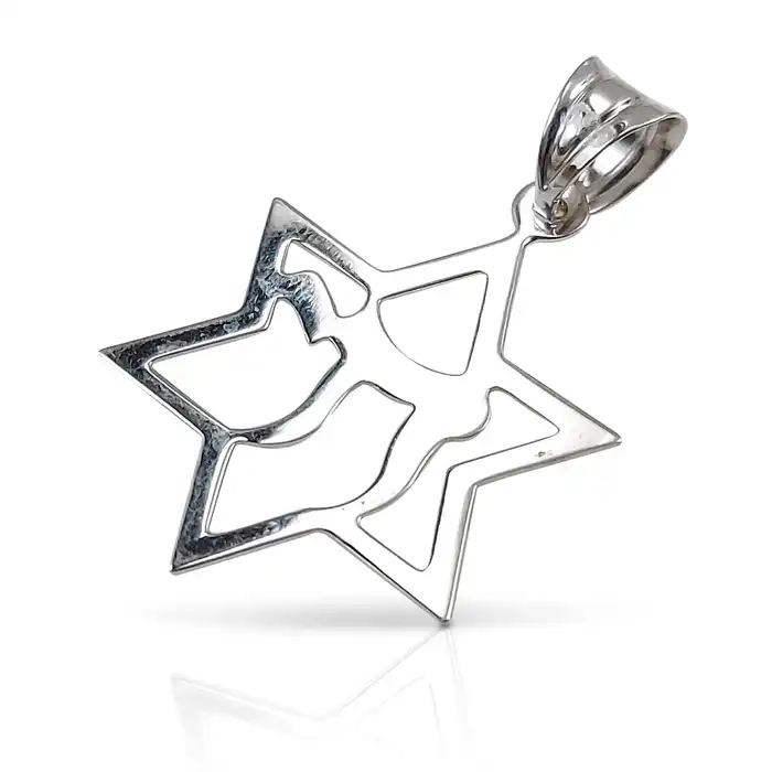 תליון מגן דוד מזהב עם חי 14K