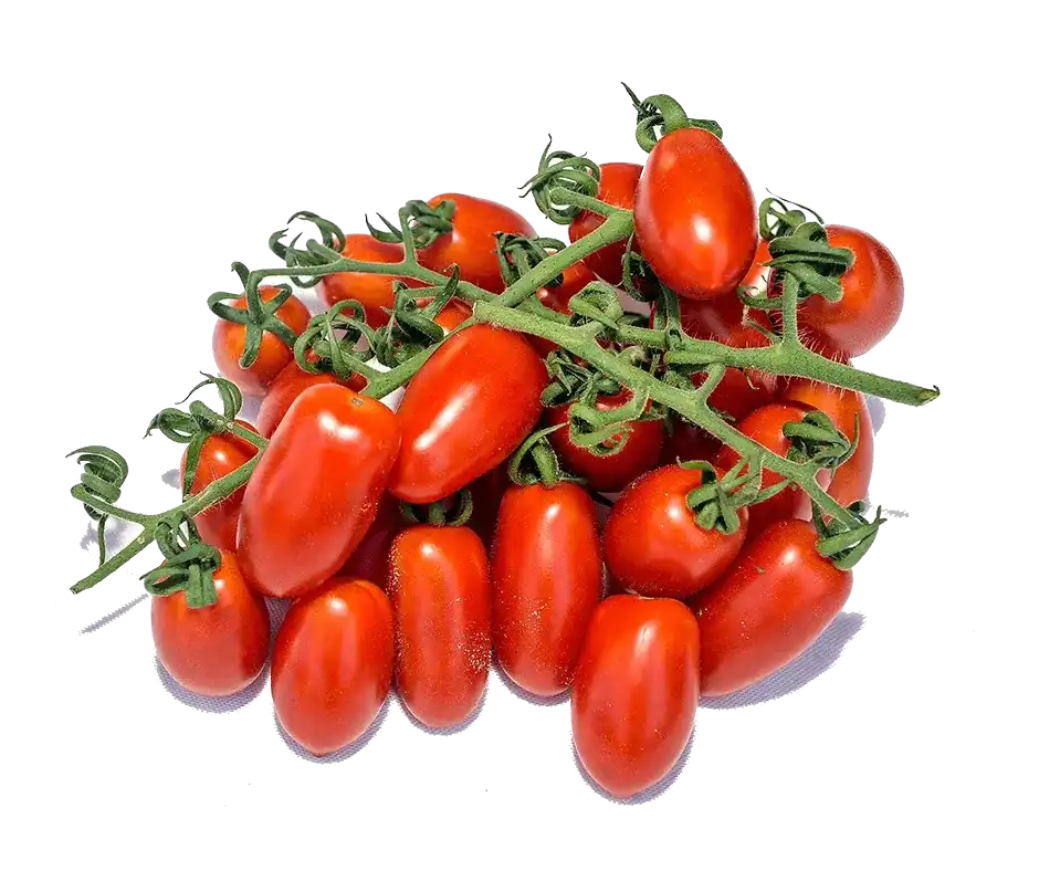 עגבניות שרי לובלו סוכריה - 1 ק"ג