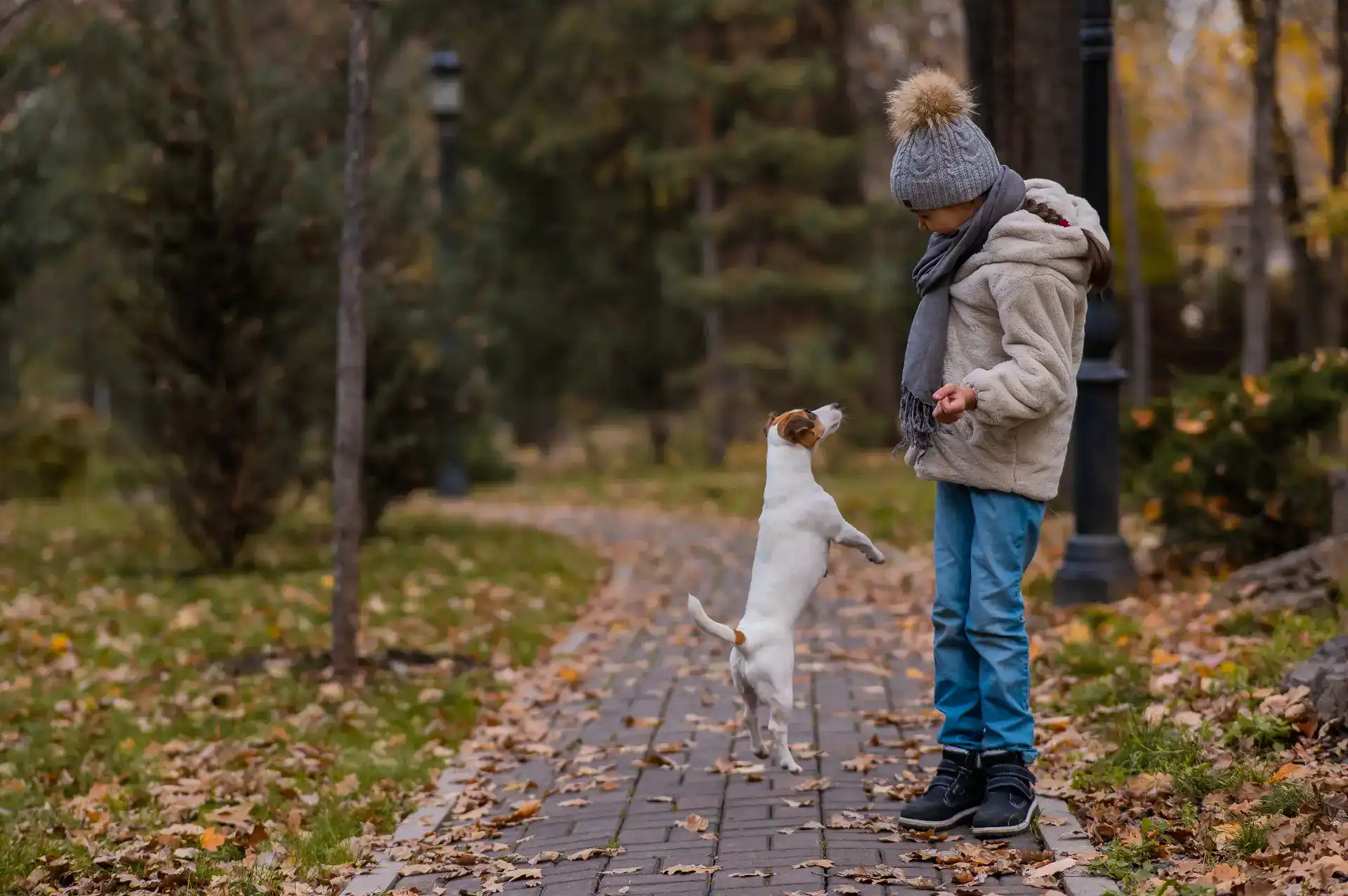 איך ללמד את הילד לצאת עם הכלב לבד?