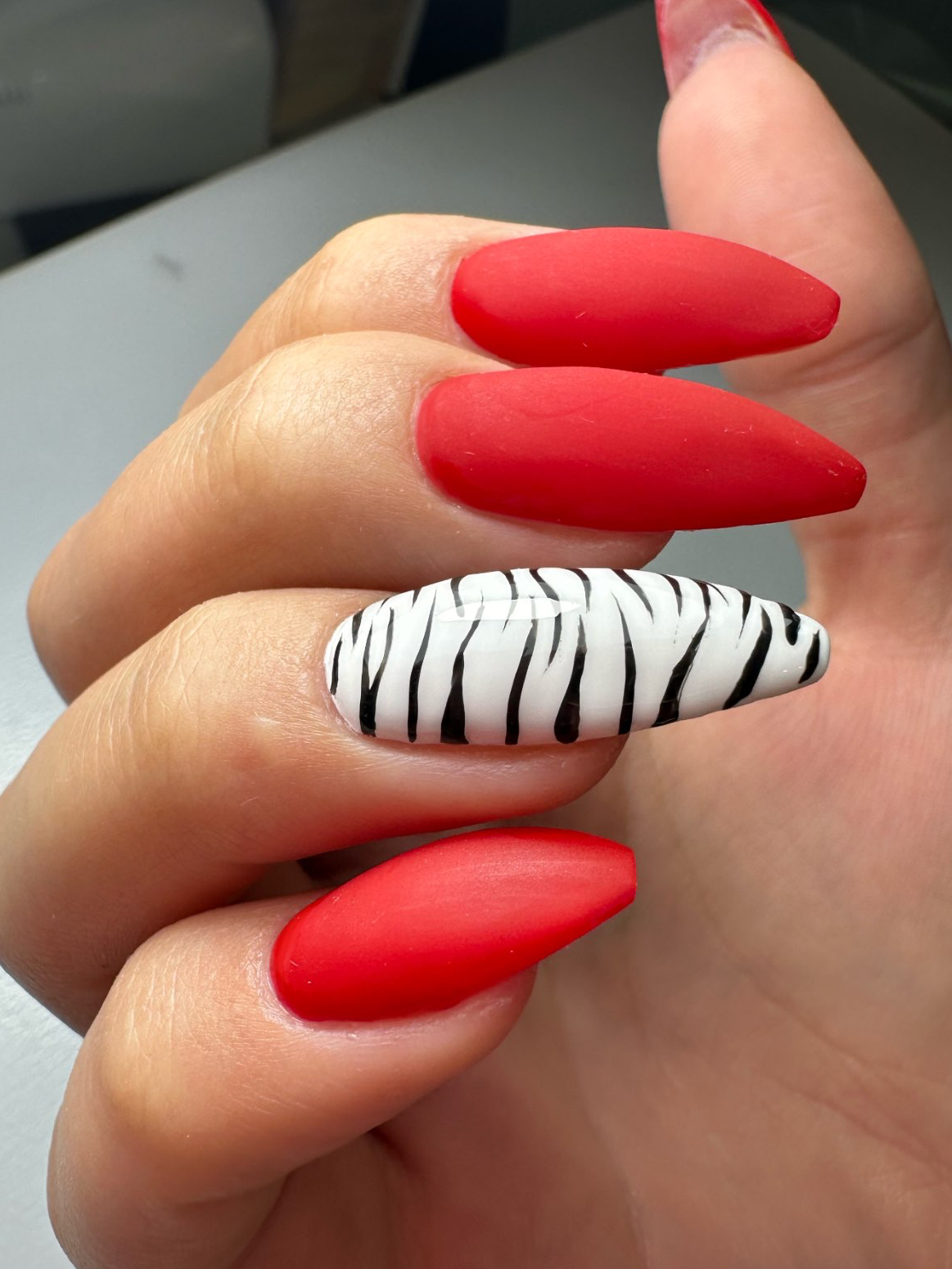 לקט ציורים מובחרים