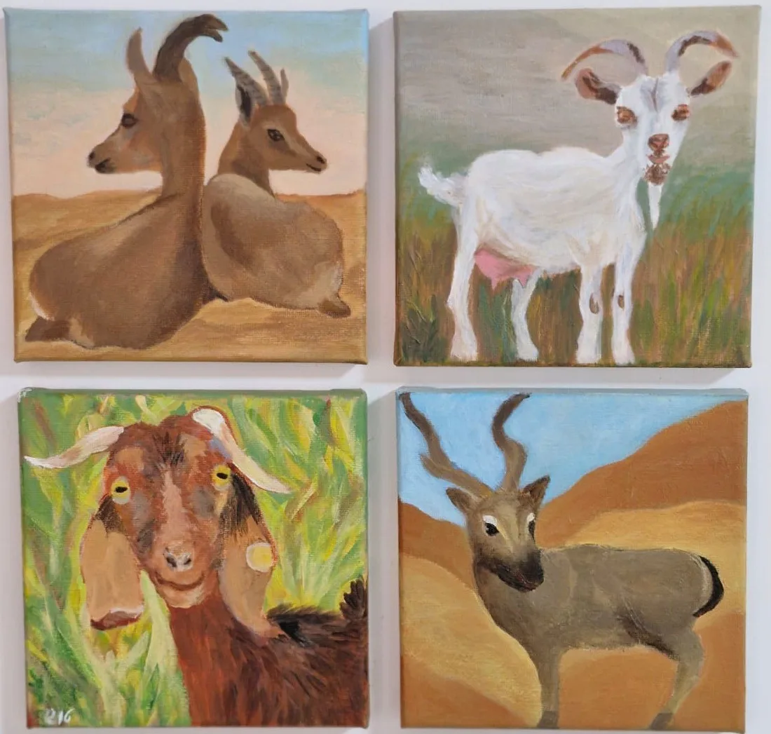 ציורים למכירה והזמנות אישיות