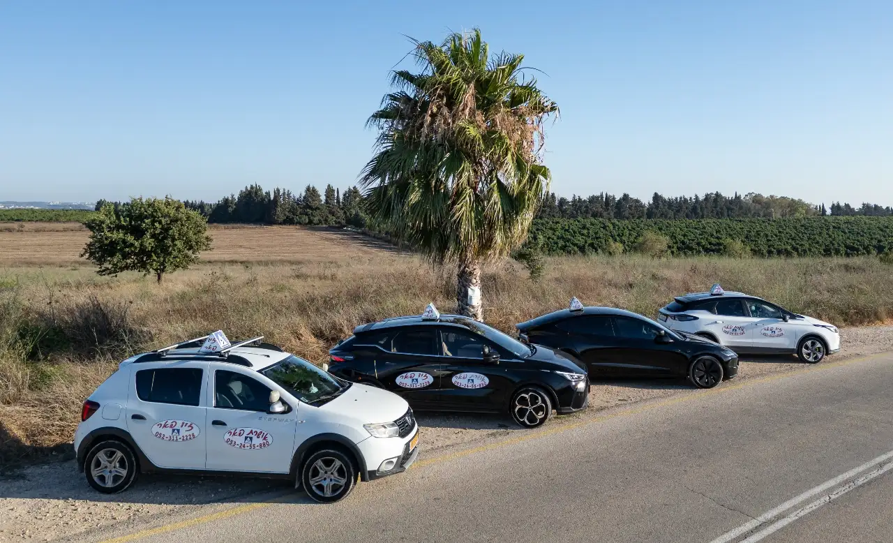 היתרונות של שיעורי נהיגה מותאמים לבעלי קשיי למידה