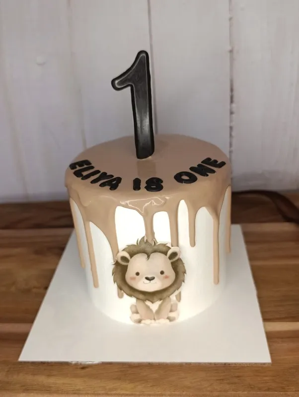 אישית טיפטופי שוקולד ואריה חמוד