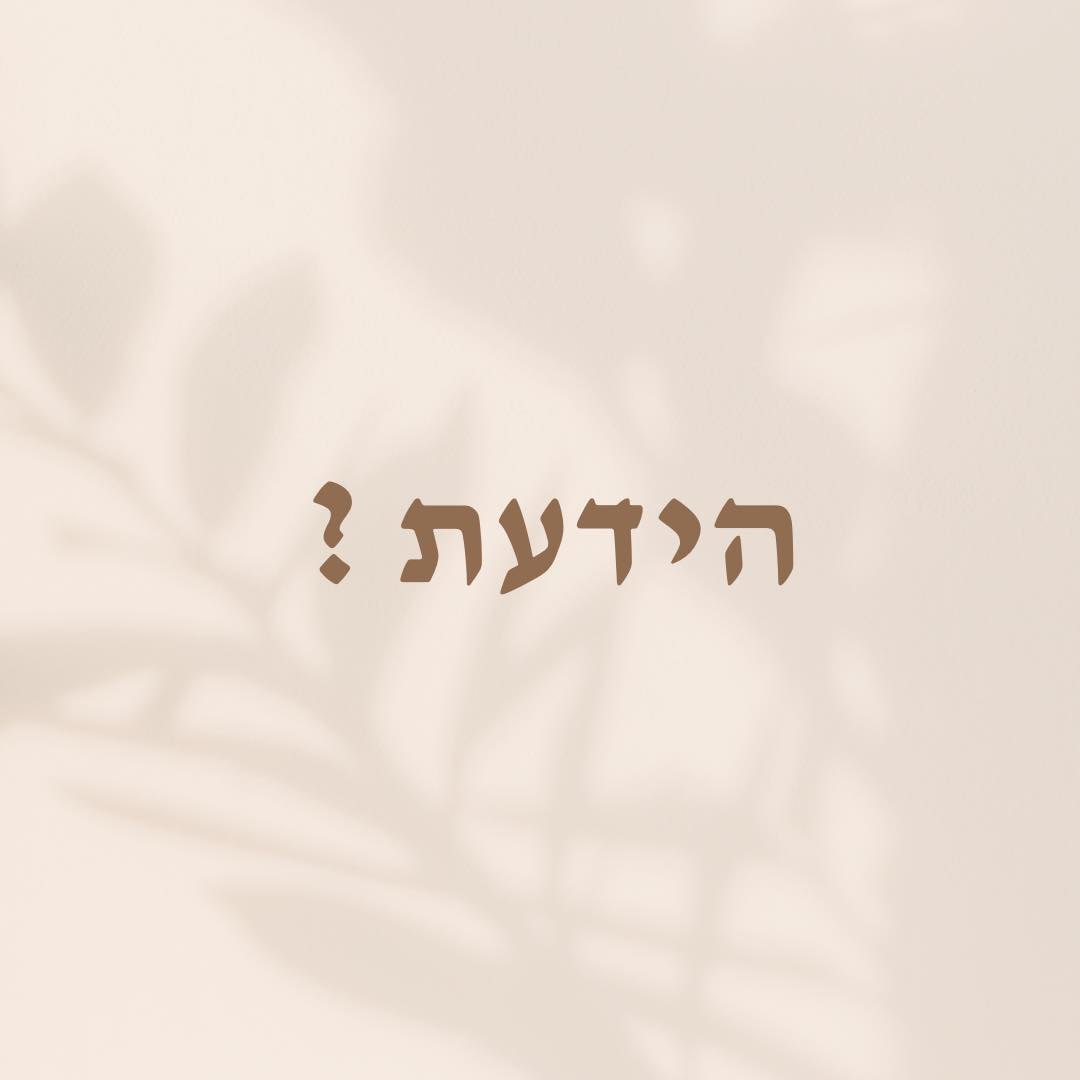 הידעת? פסילה בגין נהיגה בשכרות!