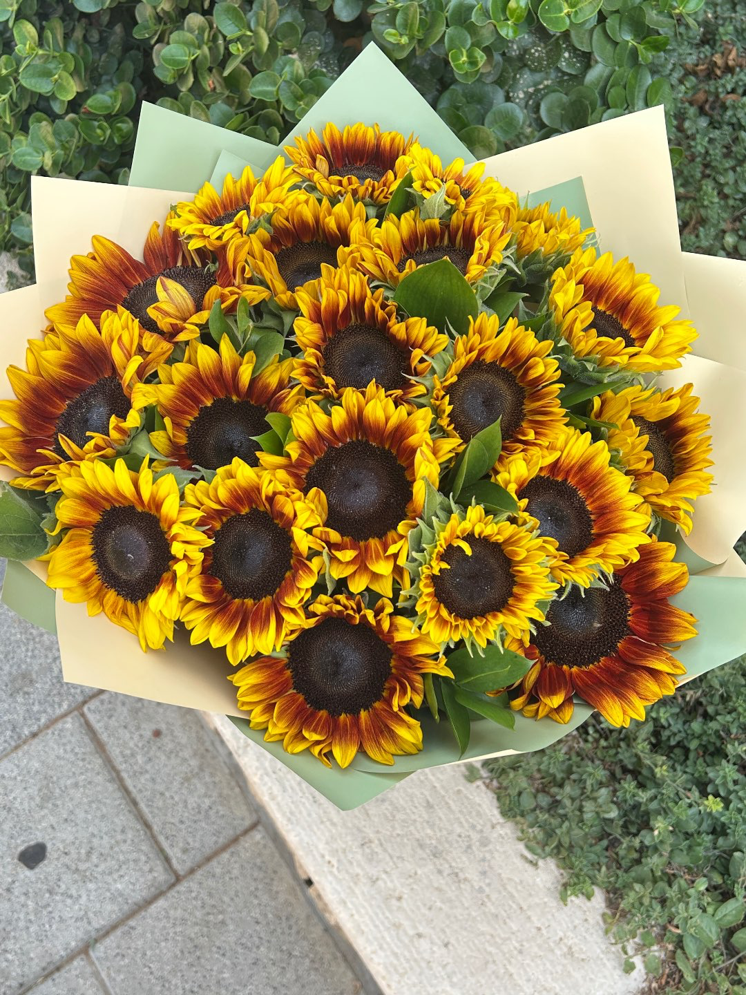 זר חמניות 200₪