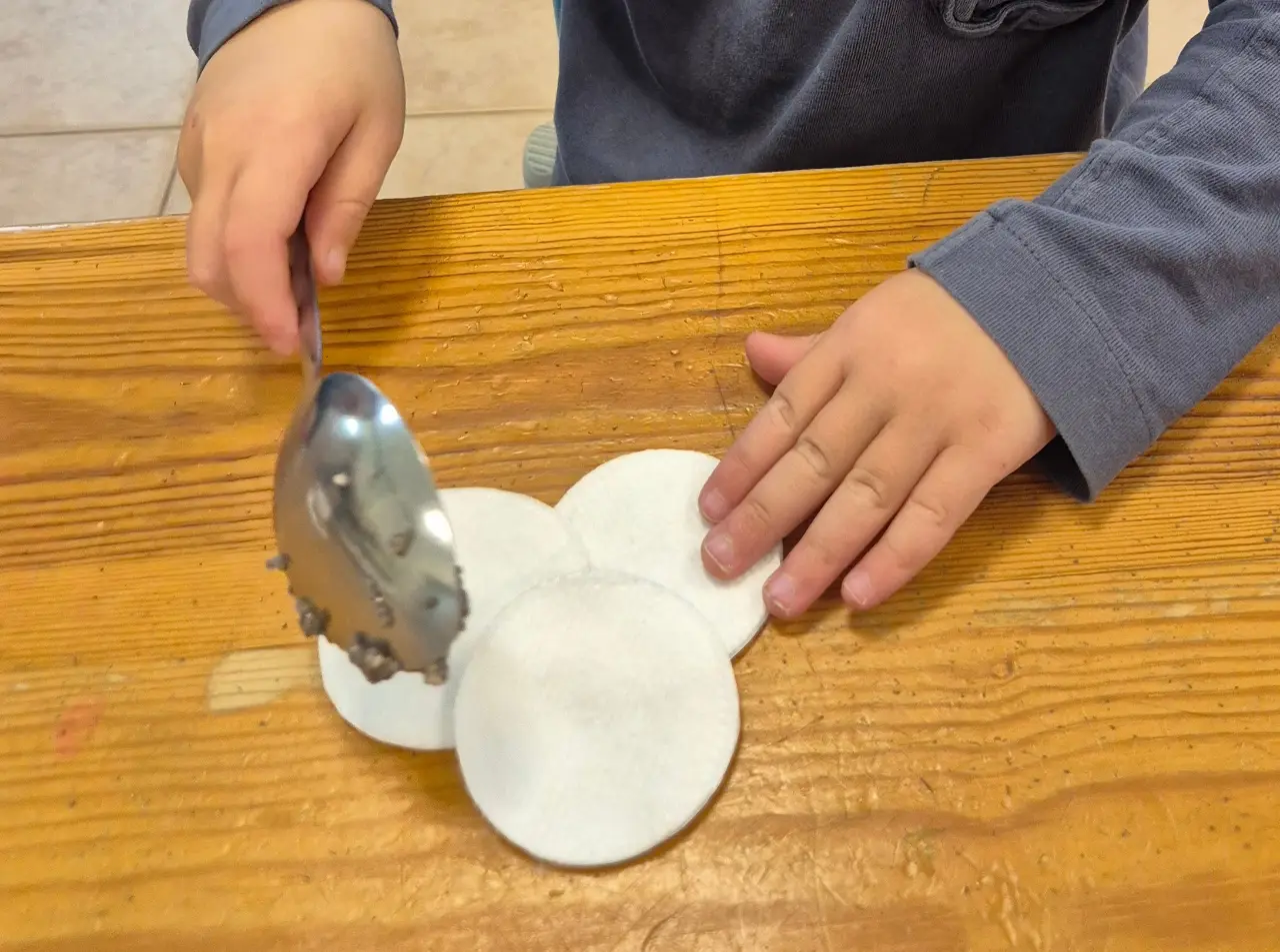 Tu Bishvat Chia Pads đą