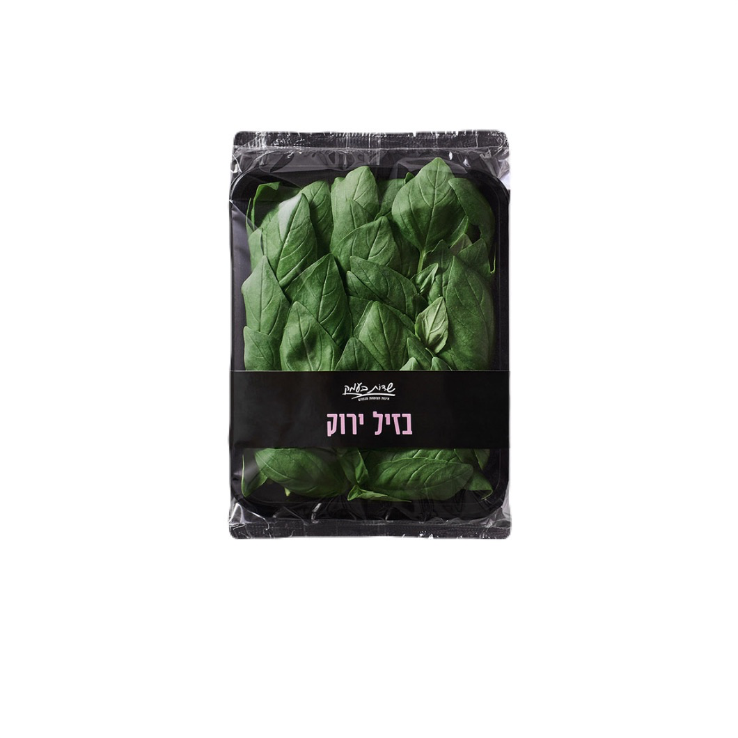 בזיליקום גדול  - שדות בעמק