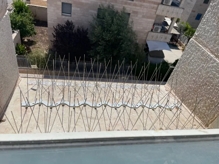 פתרונות הרחקת יונים לצמיתות