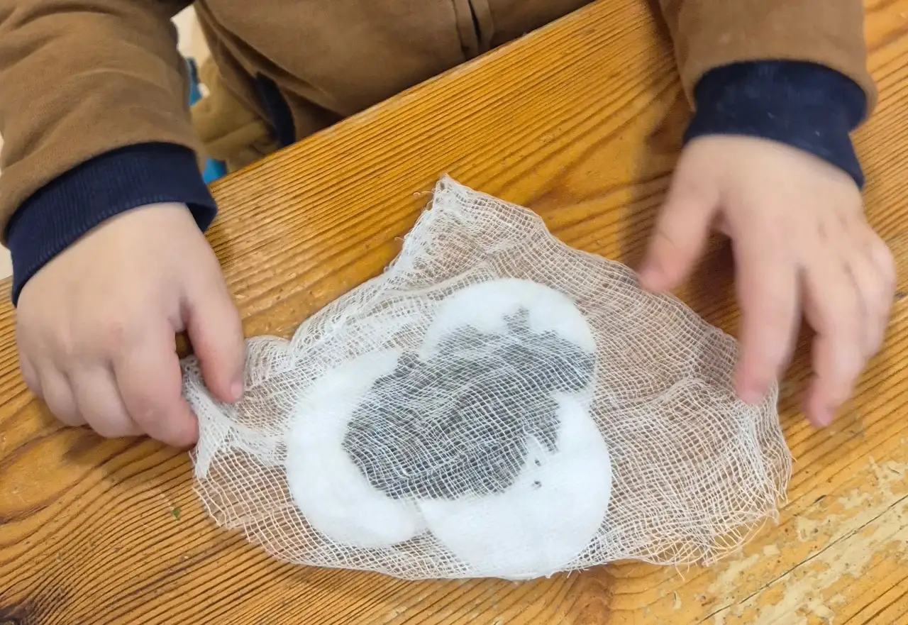 Tu Bishvat Chia Pads đą