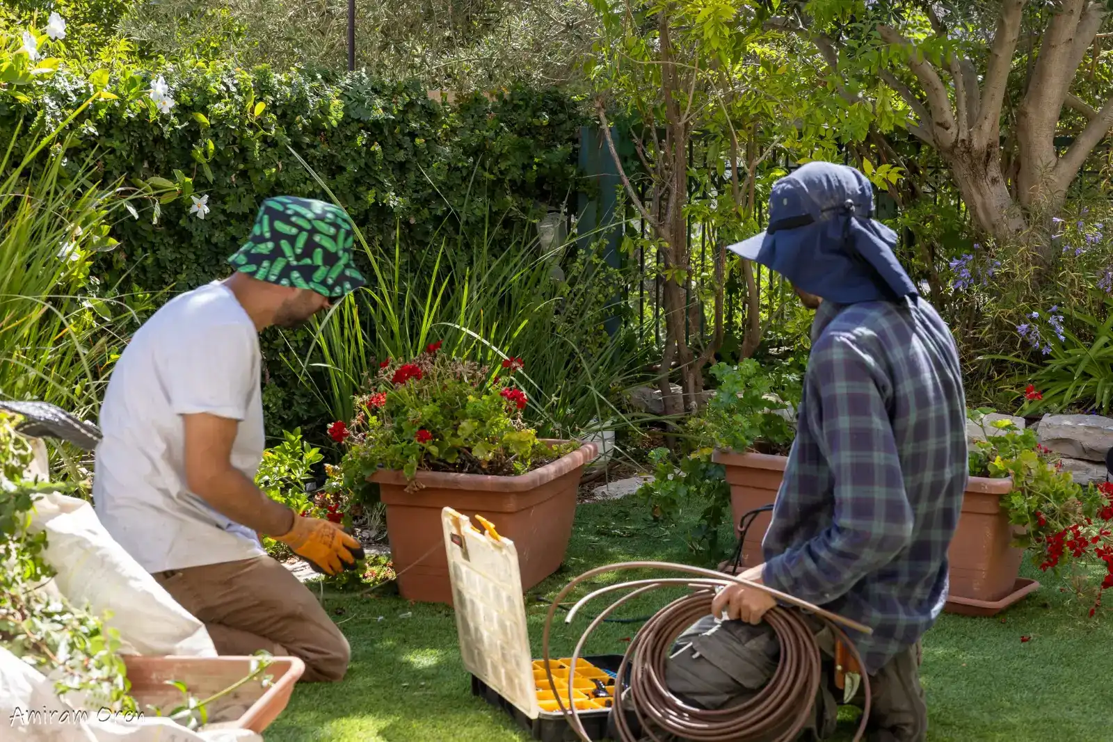 למה חשוב להתקין מערכת השקייה מתקדמת בגינה?