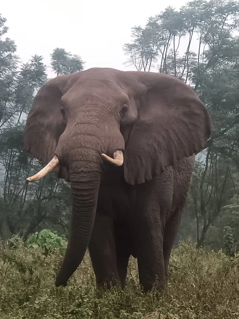 טיול ספארי לטנזניה וזנזיבר