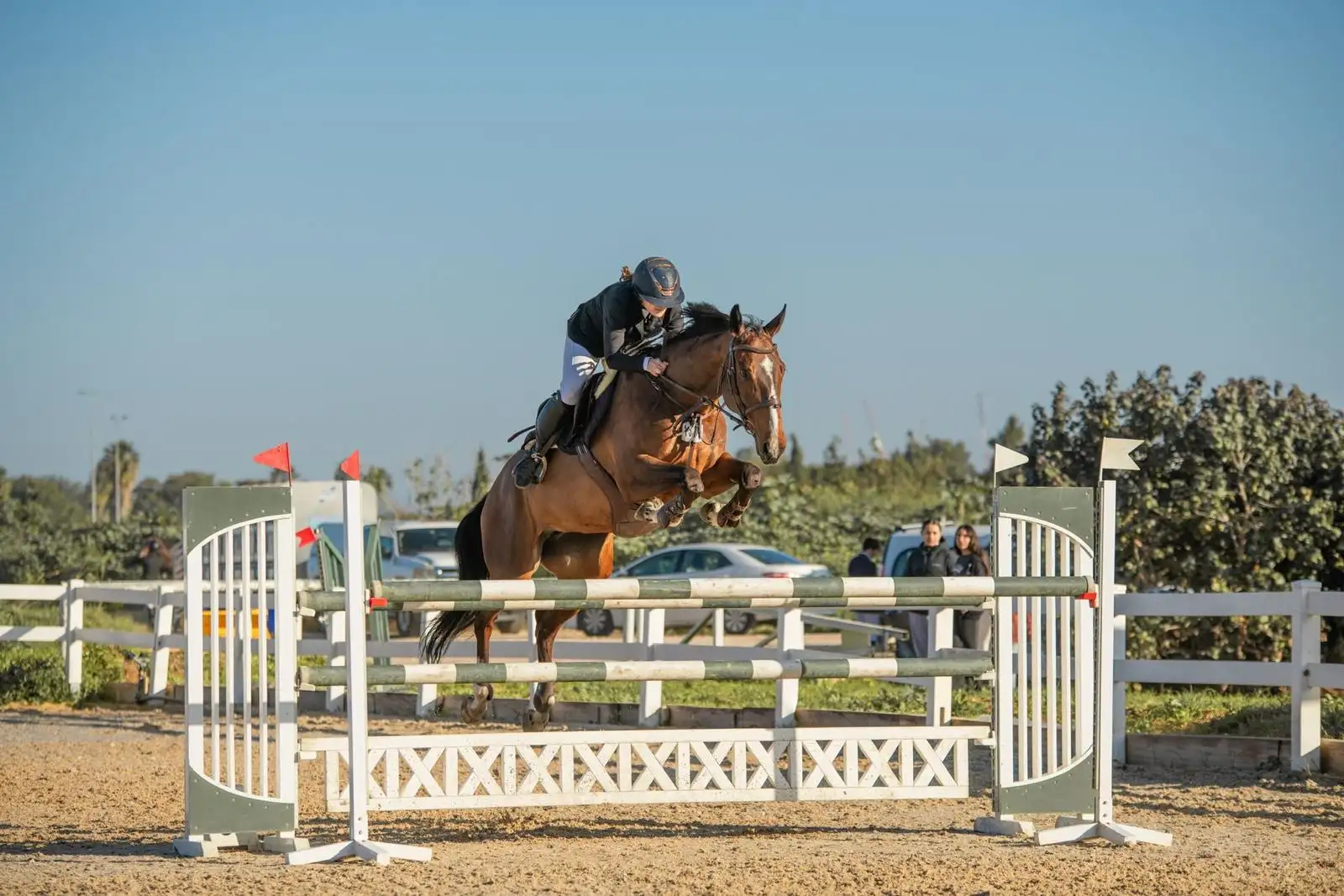 יתרונות פנסיון לסוסי ספורט בחוות מרום סטייבלס