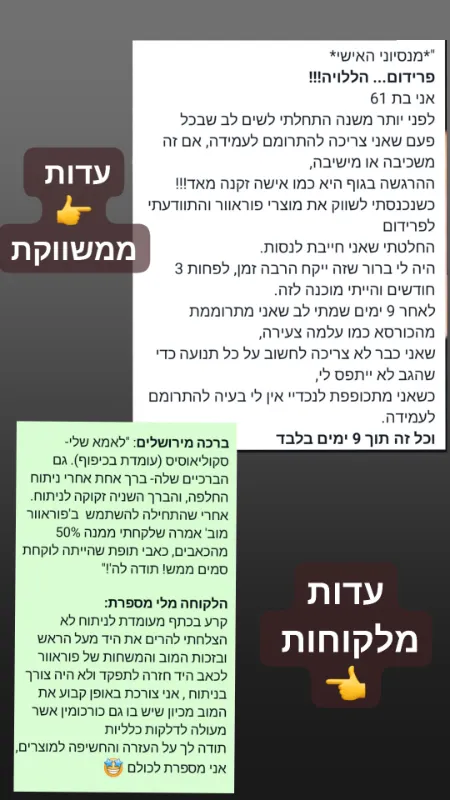 משקה פרידום