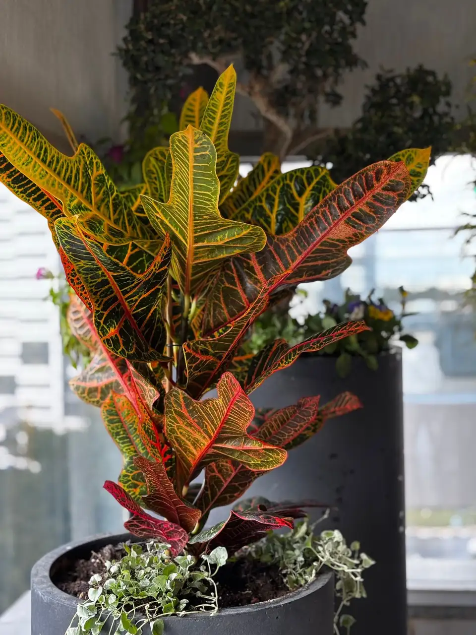 פתרונות השקיה