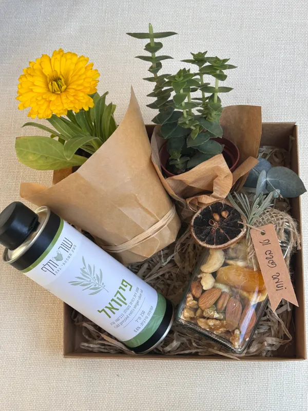 הכל במארז אחד