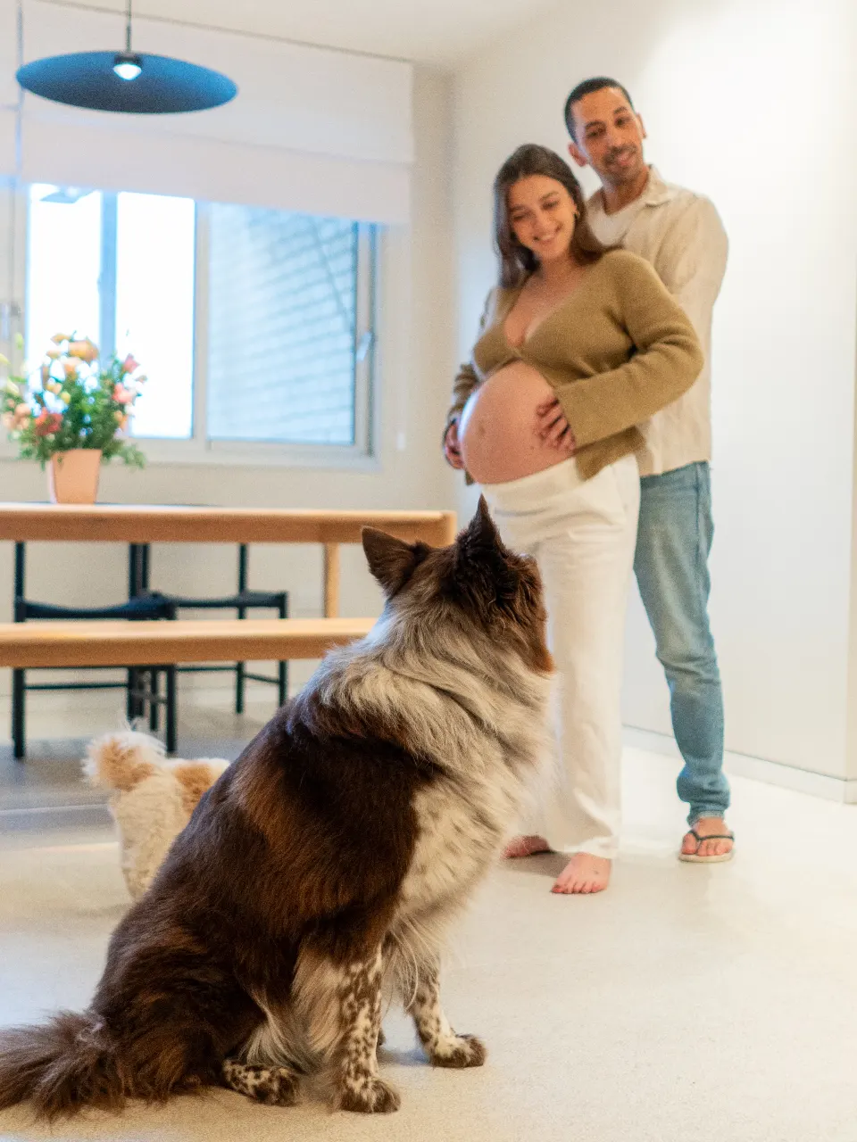 צילומי הריון ביתיים