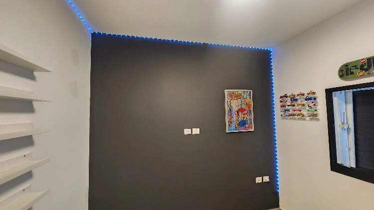 תליית תמונות ומראות 