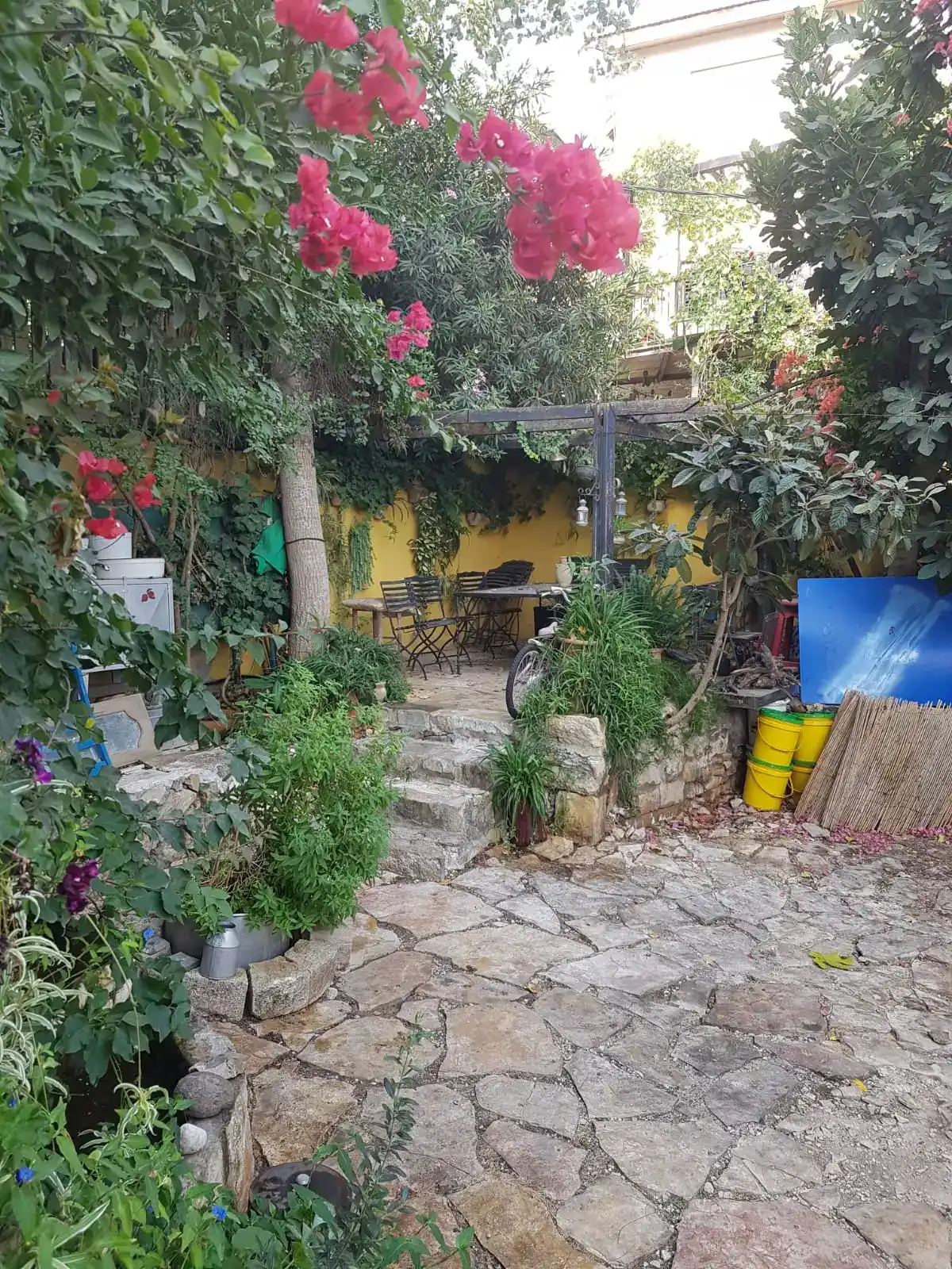 סיור בכפר אבו גוש – היסטוריה, נוף וטעמים | טלי יהושע