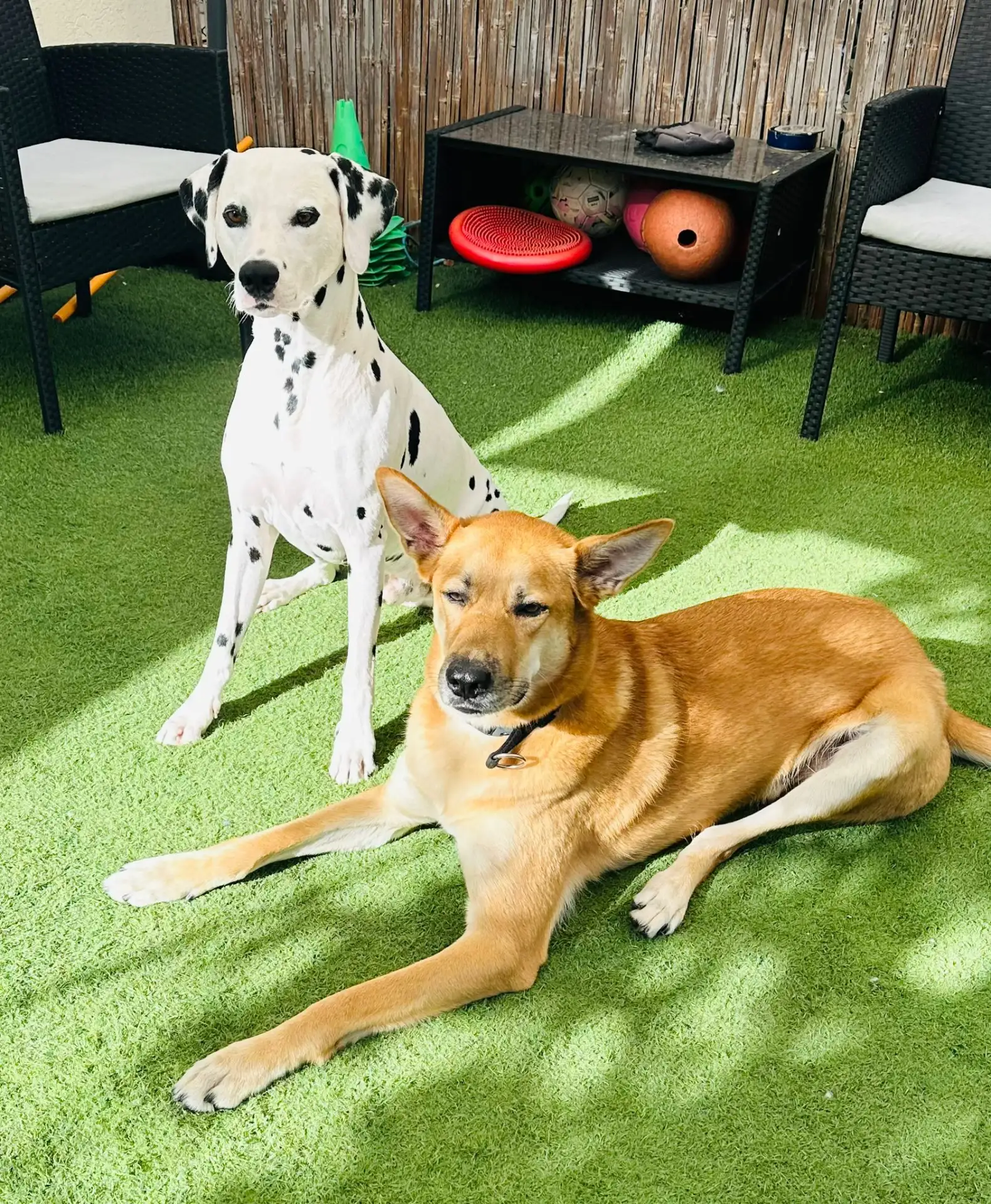 פנסיון שהות