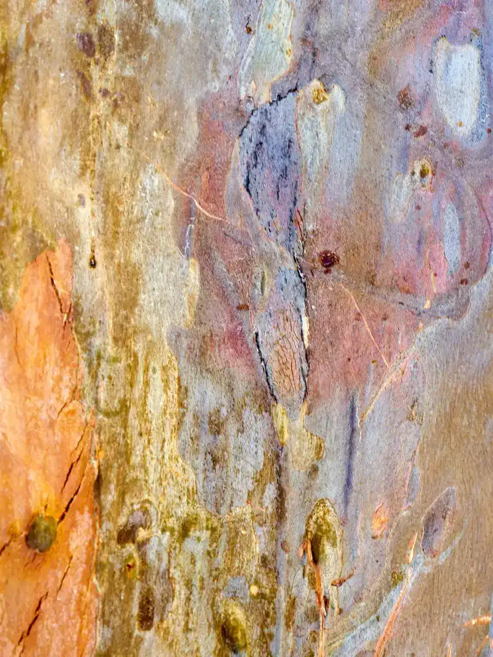 הדפסים לציורי אומנות באיכות גבוהה – הדרך לשדרג כל חלל בלי להתפשר על יופי ודיוק