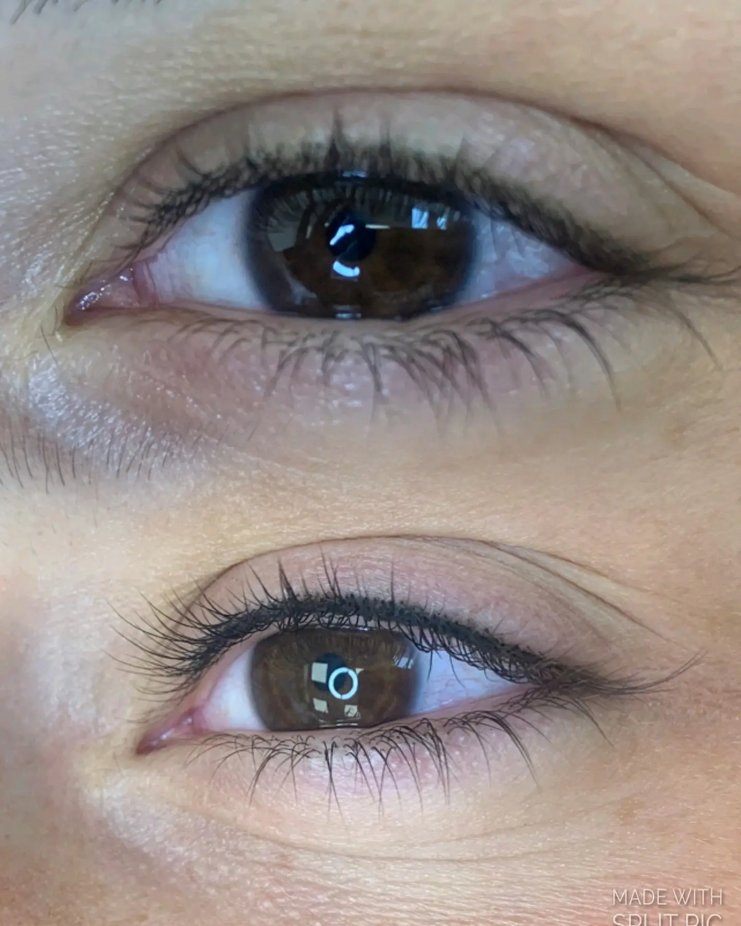 איילנר קלאסי / מעושן / קו ריס