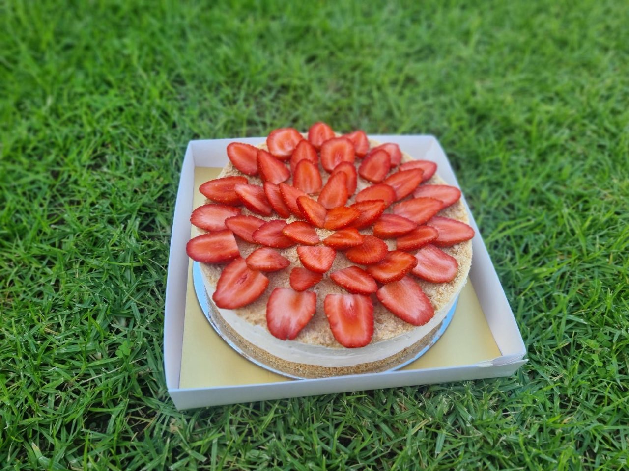 עוגת גבינה קרה