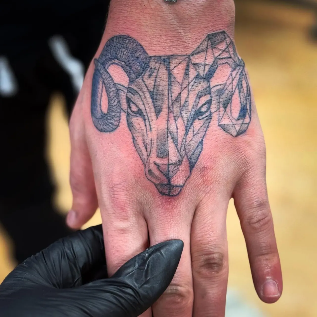 קאברים ותיקונים