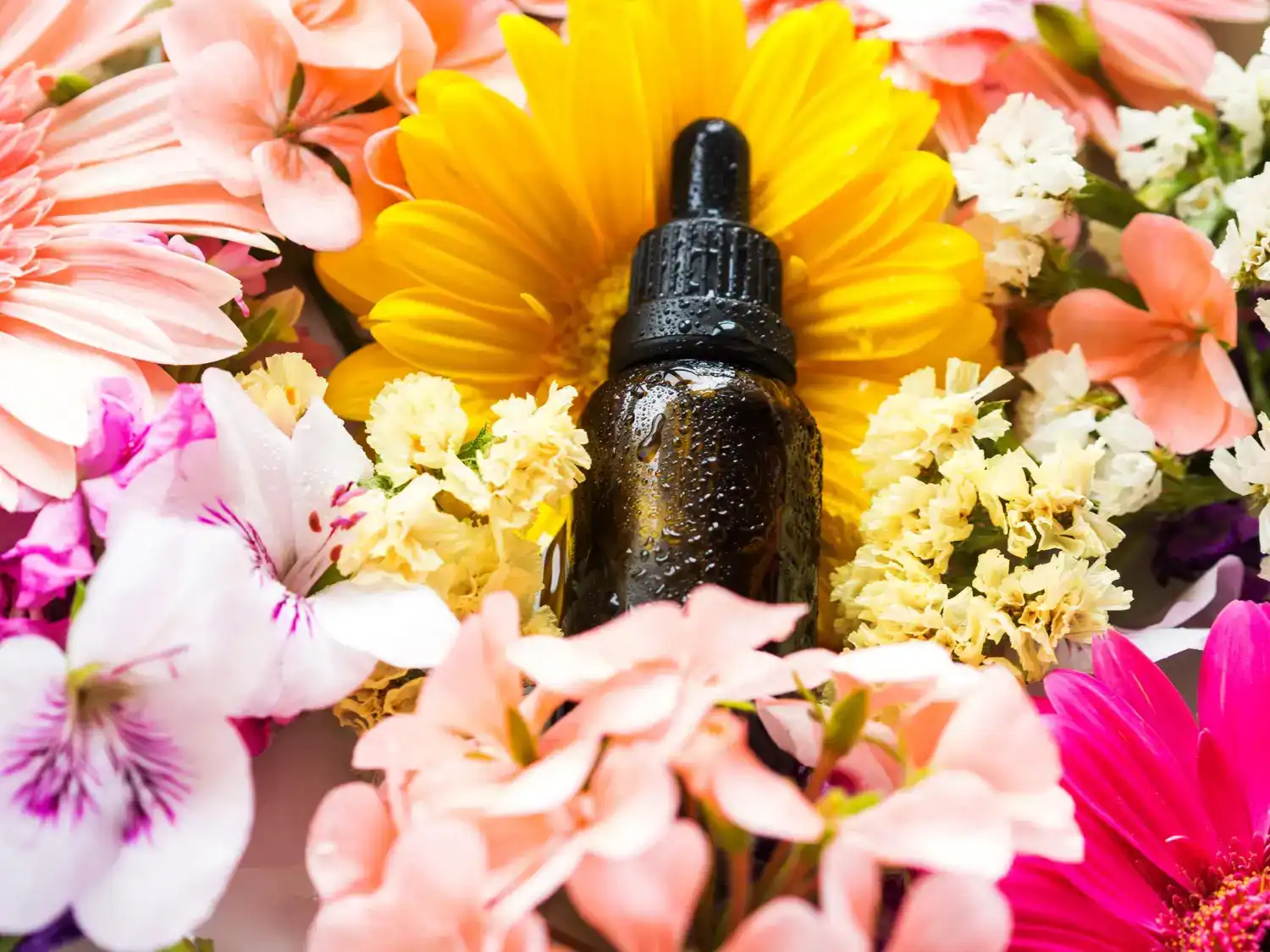 תמצית באך בהתאמה אישית – שיחה אישית וטופס אבחון