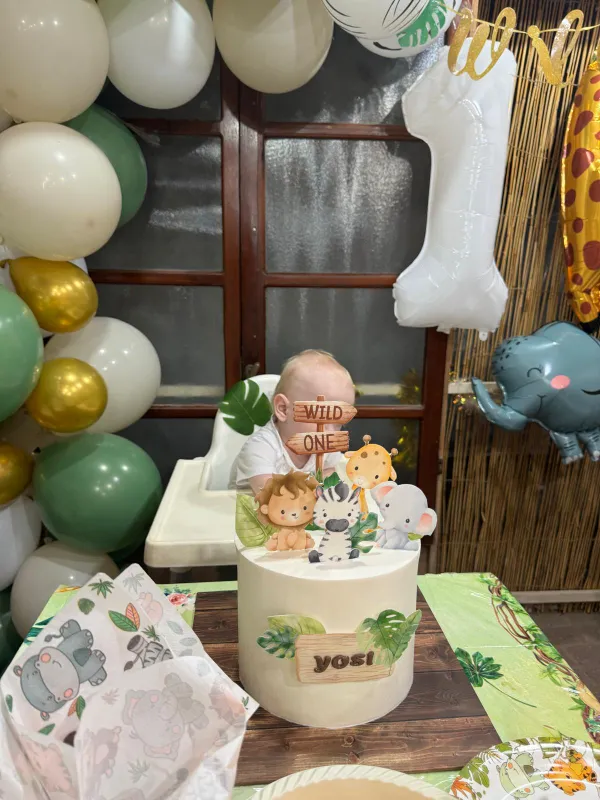 🐎🐢🐆עוגת גיל שנה WILD ONE🐒🐅🦒