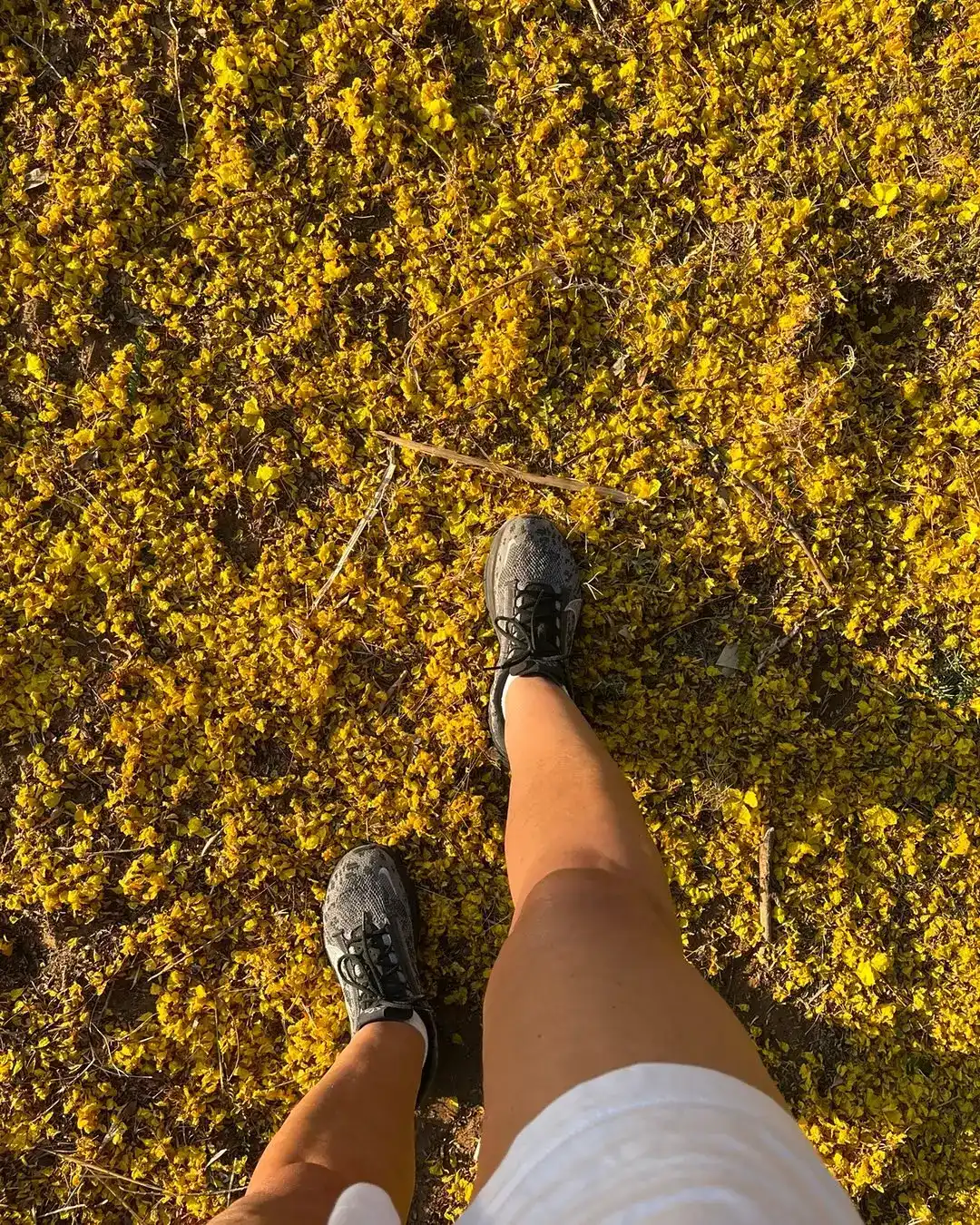 תוכנית לירידה במשקל עם ליווי קבוצתי