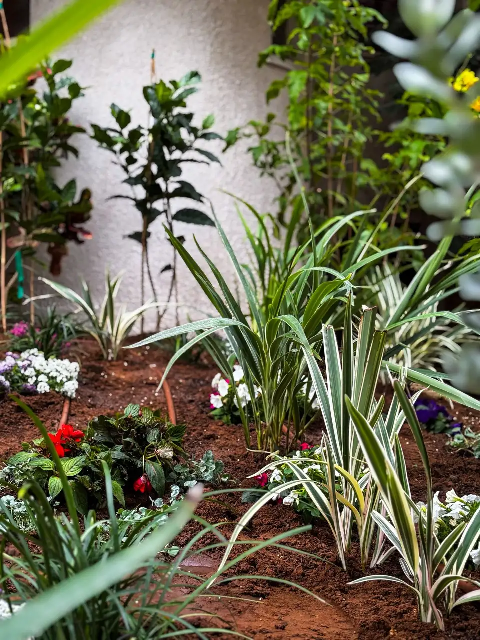 אחזקה שוטפת