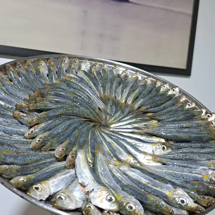 דגים מעושנים