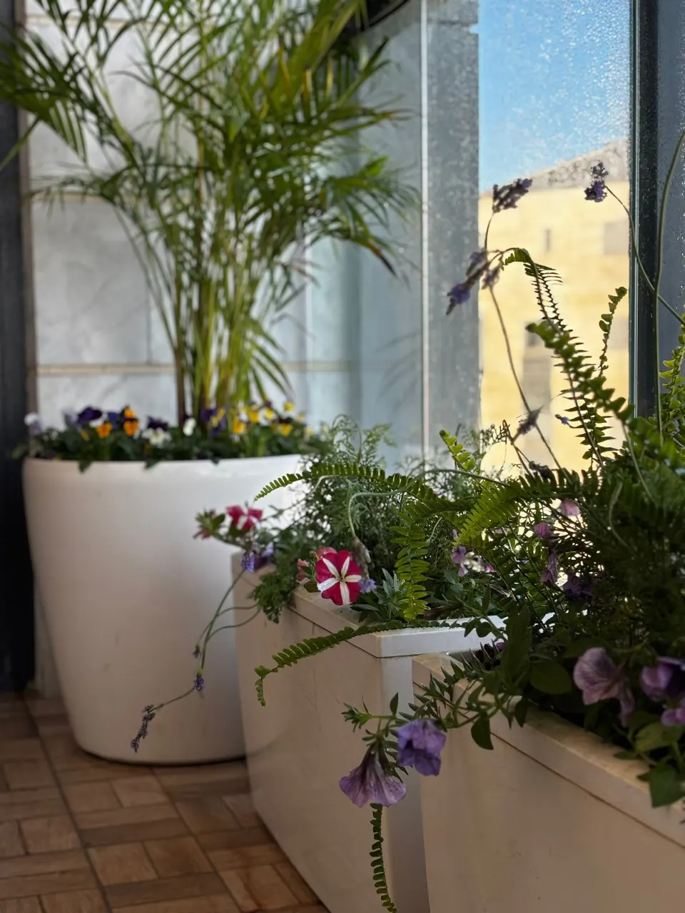 עיצוב הנוף והגינה במספר רב של אלמנטים