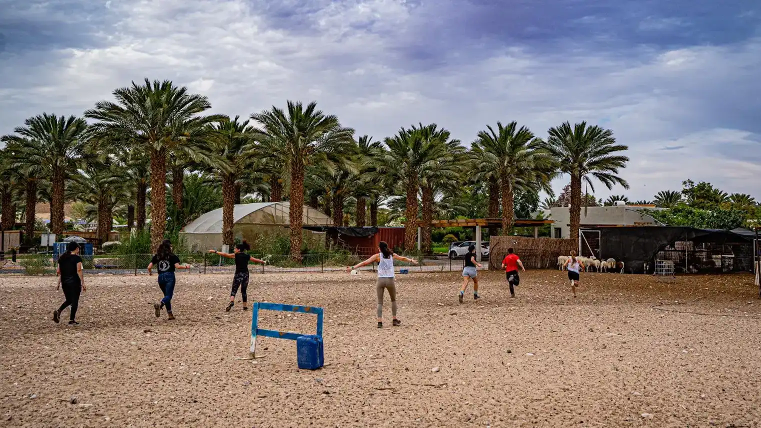 פיתוח צוותים ומנהלים