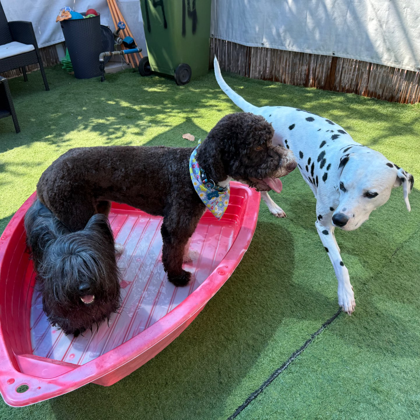 פנסיון שהות