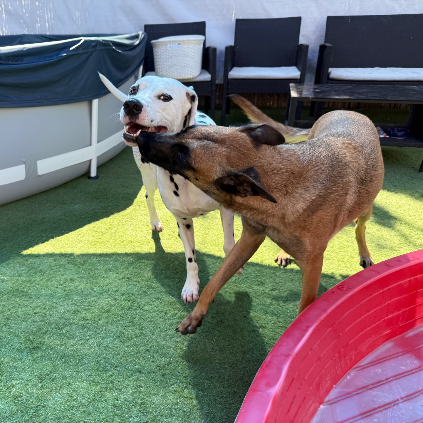 פנסיון שהות