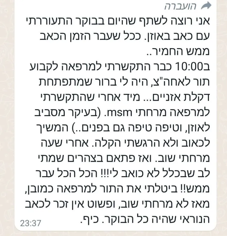 ג'ל אלוורה עם msm