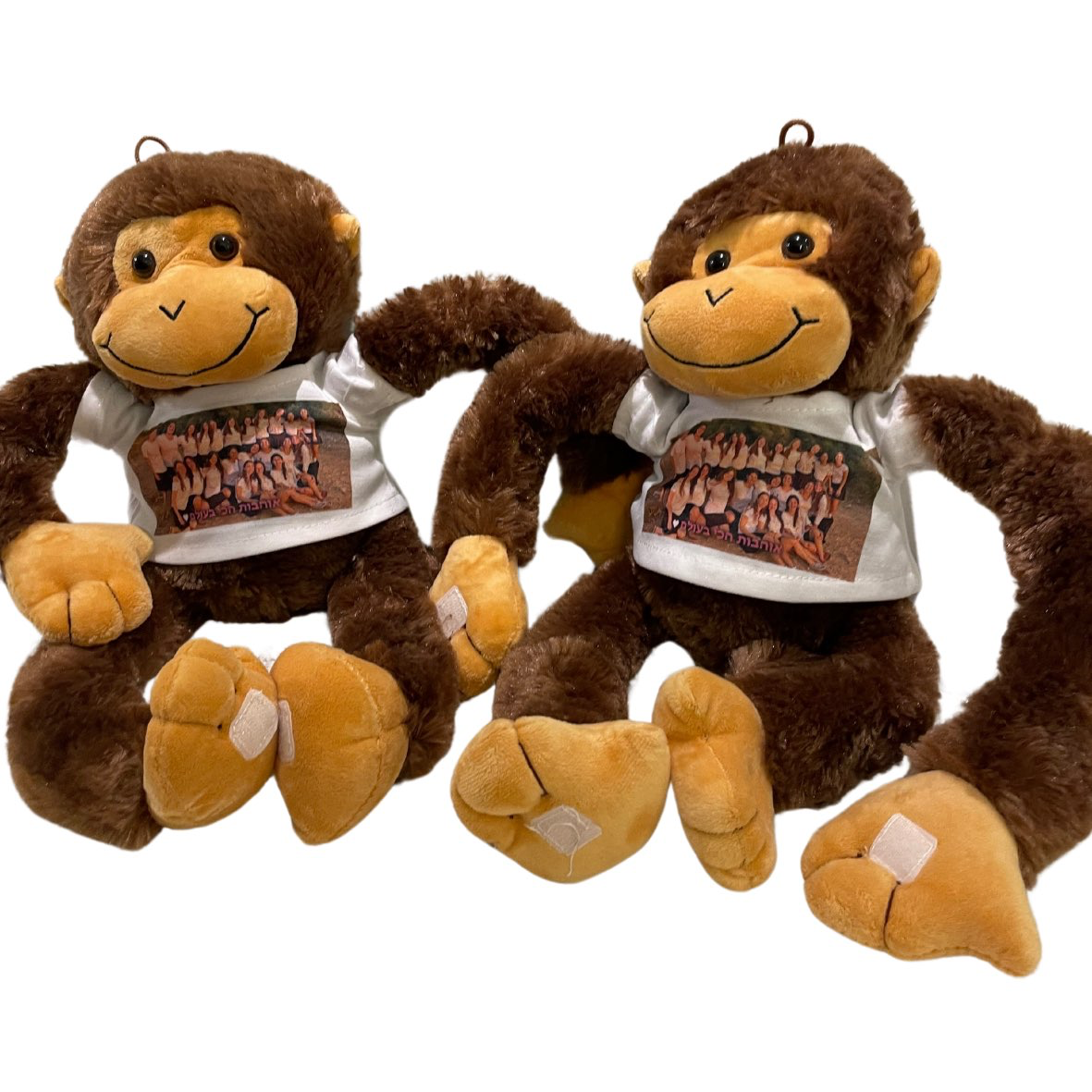 בובת קוף מחבק