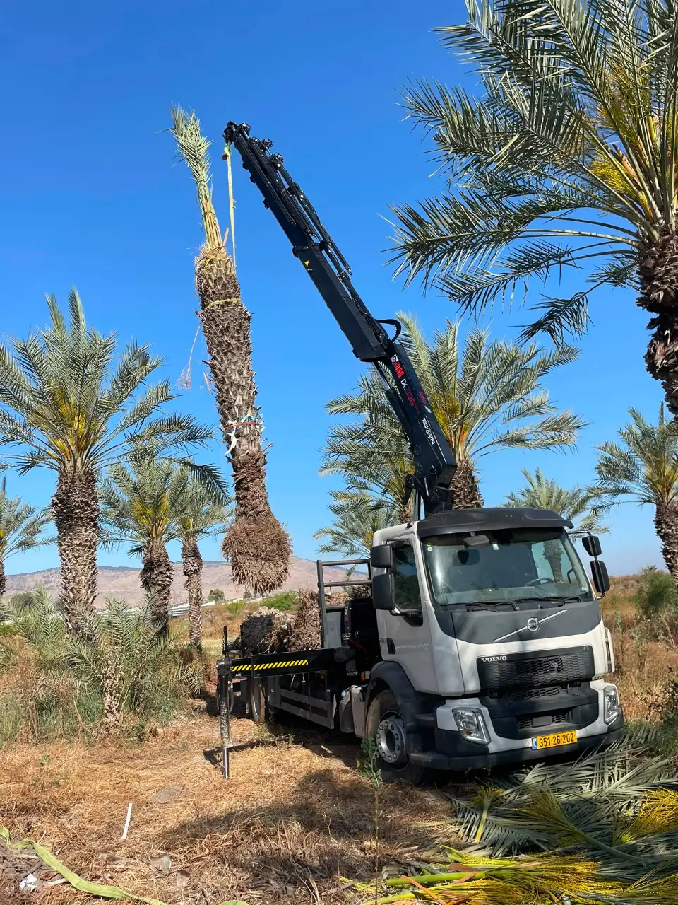 הנפת מטענים במנוף