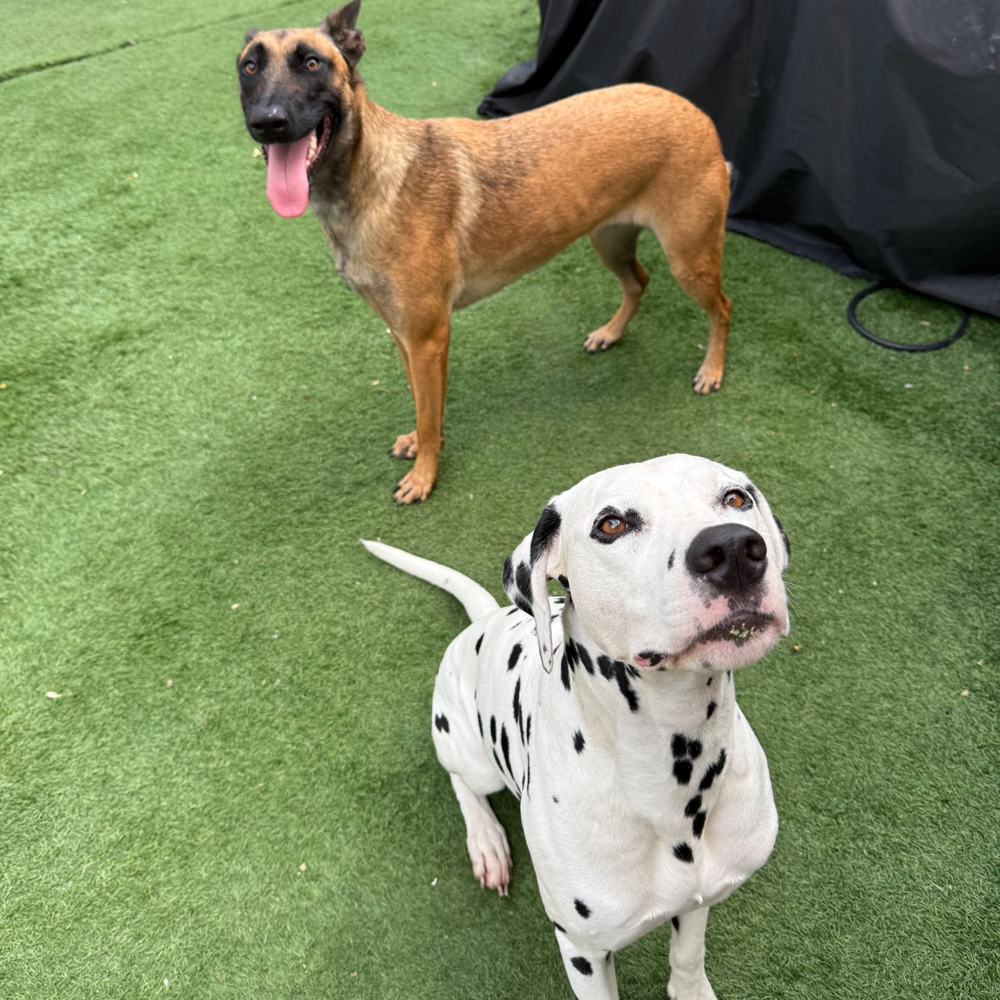 פנסיון שהות