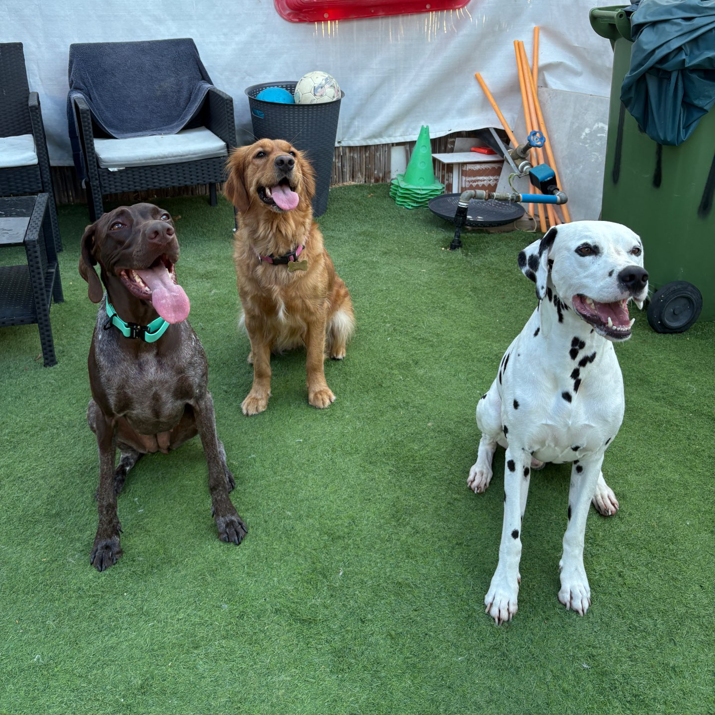 פנסיון שהות