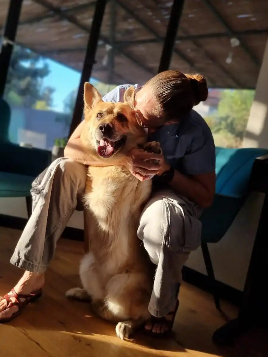 ביקור בית וטרינרי