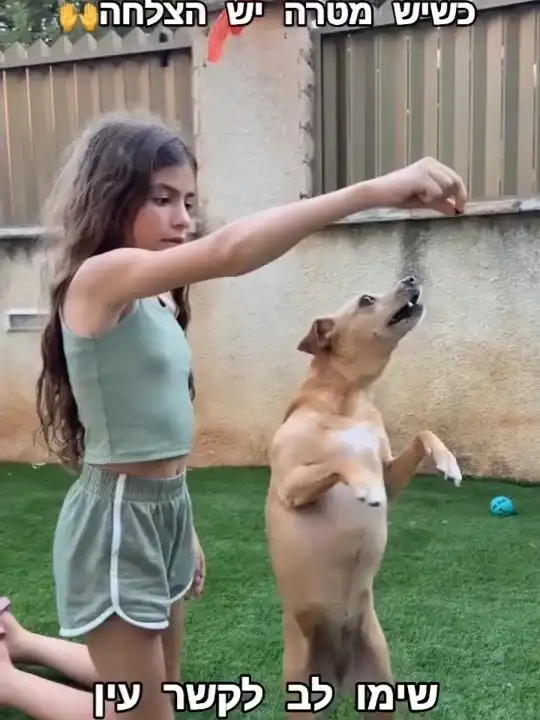 איך כלבנות טיפולית עוזרת לילדים לפתח ביטחון עצמי