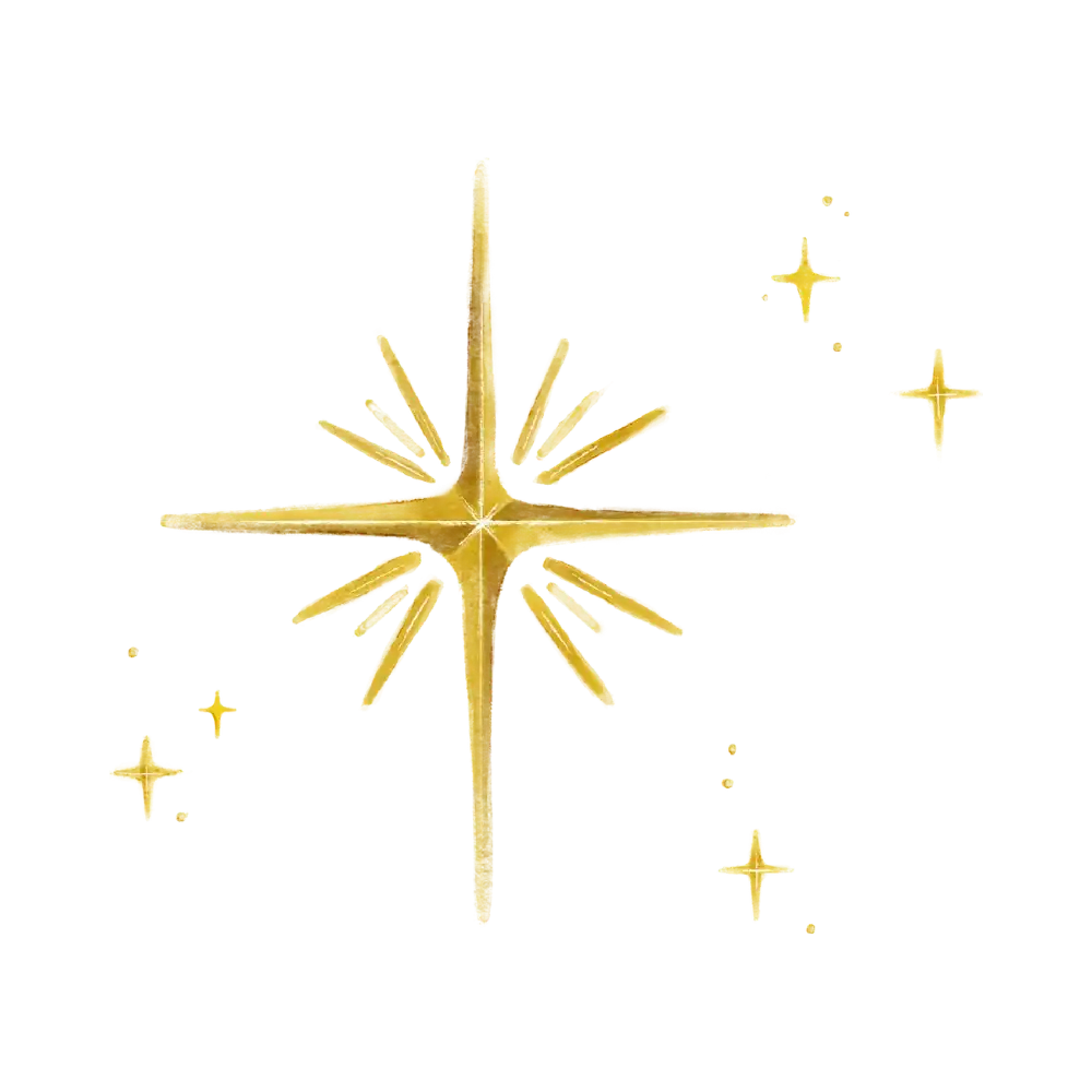 המלצה מלקוחה