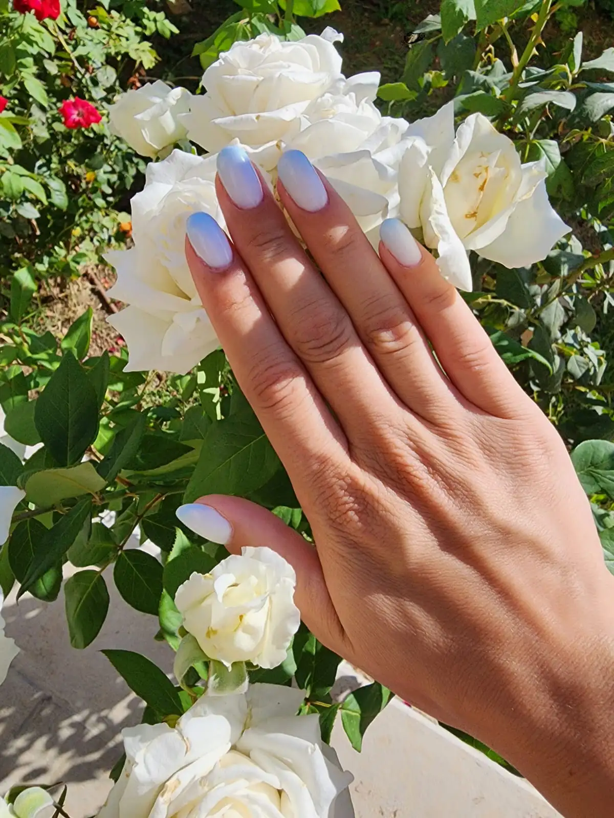 היתרונות של לק ג'ל עם מבנה אנטומי לבריאות ועמידות הציפורניים