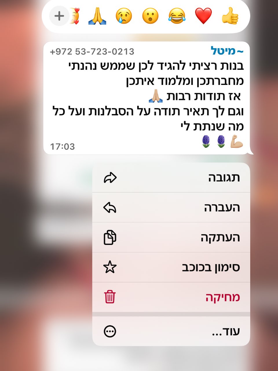 מיטל