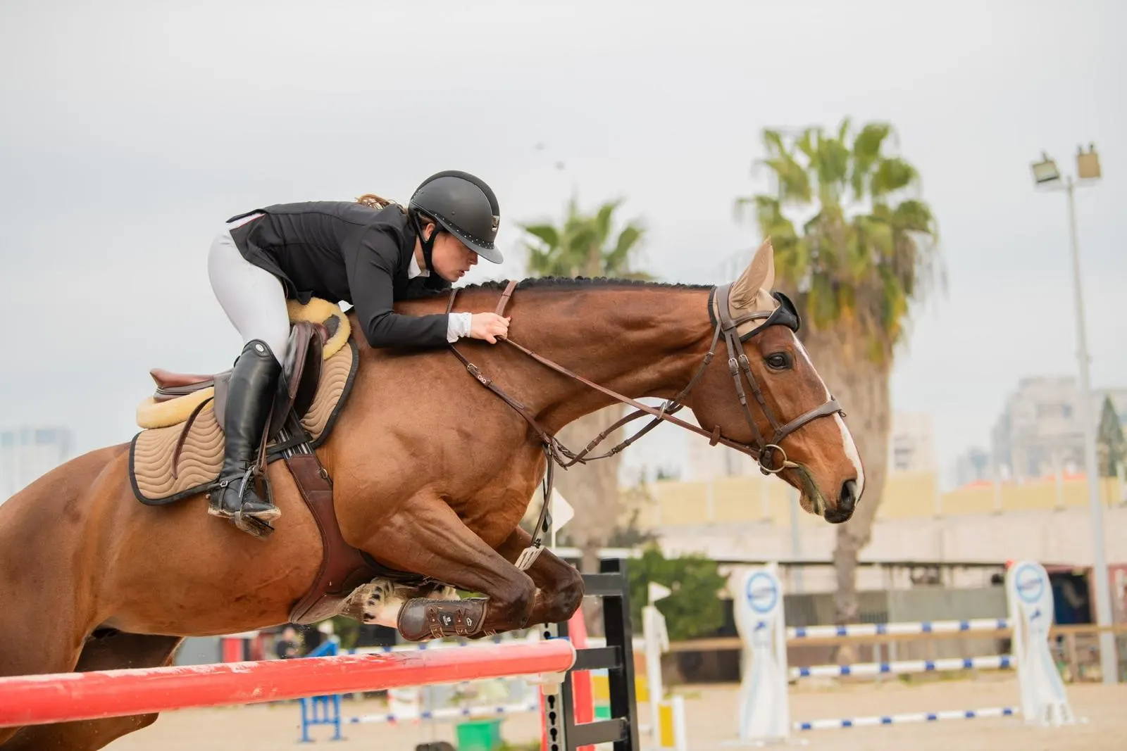 לימוד רכיבה ספורטיבית
