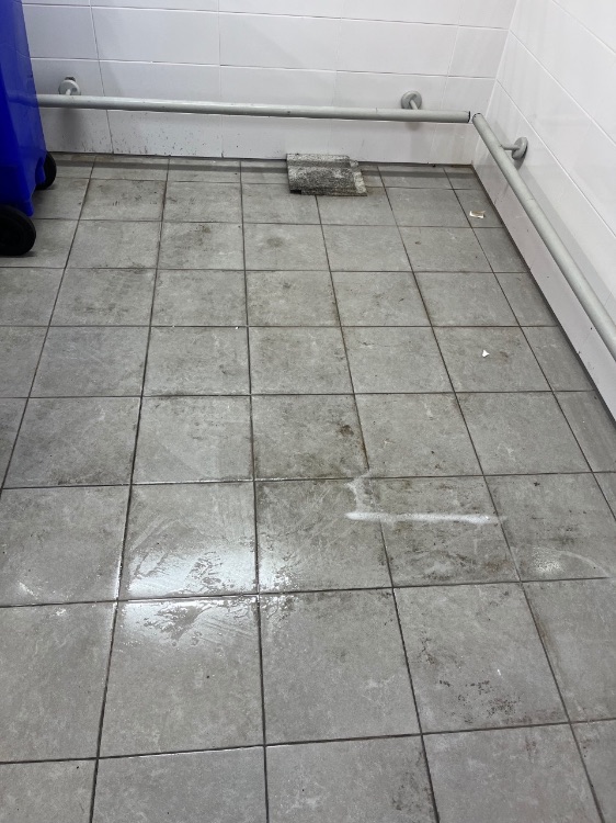 חידוש חדר אשפה