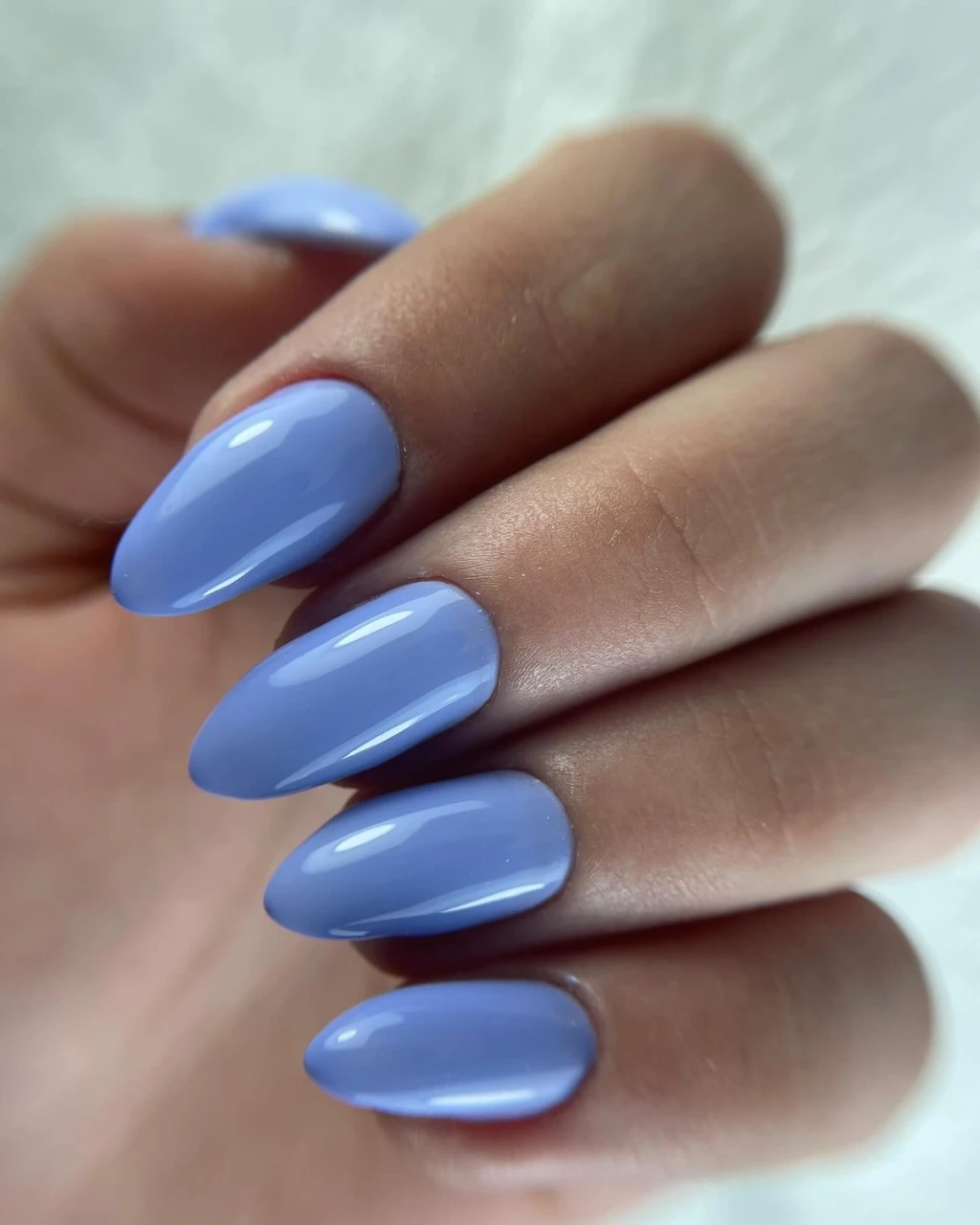 מבנה אנטומי